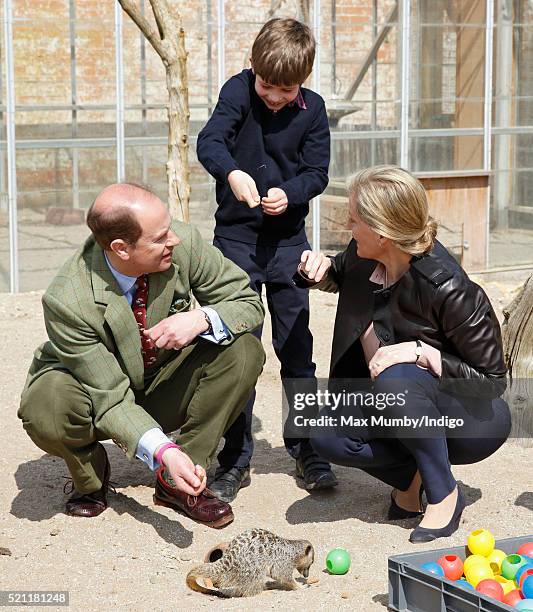 Sophie, Countess of Wessex looks on as James, Viscount Severn attempts to put a live cricket down Prince Edward, Earl of Wessex's back as they feed...