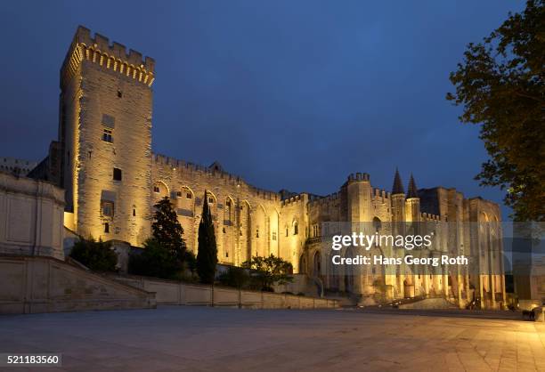 pope's palace, a world heritage site, front view in the evening light - 教皇庁 ストックフォトと画像