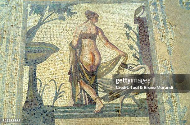 cyprus, palea paphos, aphrodite sanctuary, mosaic - paphos stock pictures, royalty-free photos & images