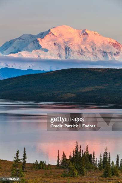 alpenglow on mt mckinley, wonder lake - wonder lake stock pictures, royalty-free photos & images