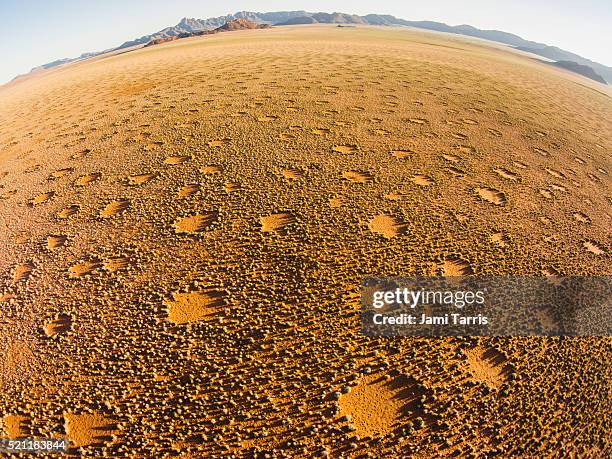 402 Fairy Circle Stock Photos High Res Pictures And Images Getty Images 402-fairy-circle-stock-photos-high-res-pictures-and-images-getty-images