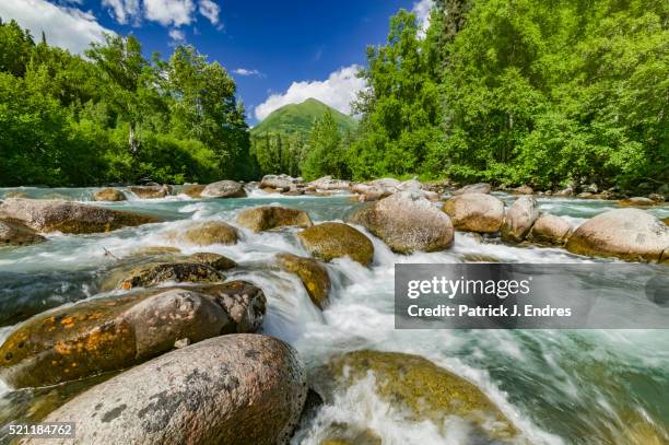 little susitna river - mt susitna stock pictures, royalty-free photos & images