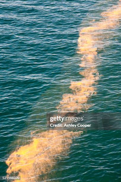 an algal bloom in the irish sea. - red_tide stock pictures, royalty-free photos & images