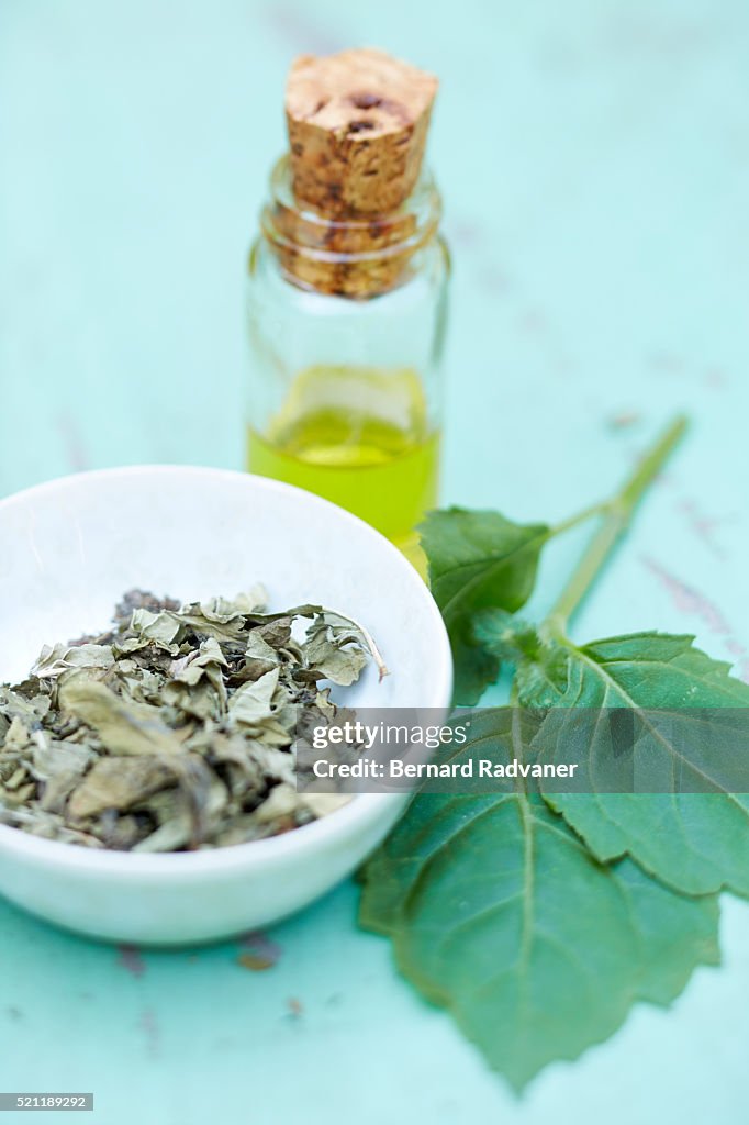 Patchouli leaves, oil, and dehydrated leaves