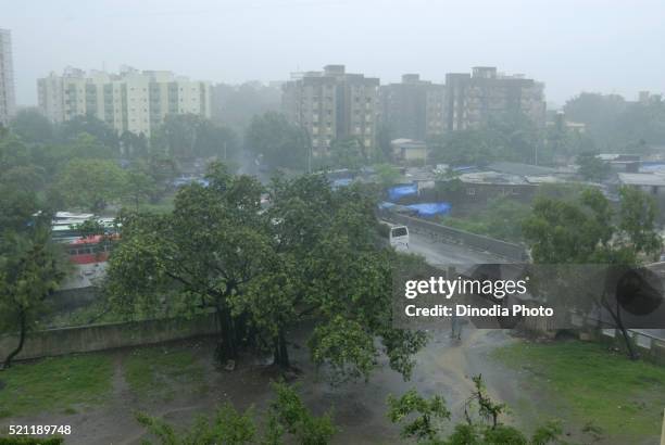 greenery and buildings in heavy rain at borivali mumbai maharashtra - india weather stock pictures, royalty-free photos & images