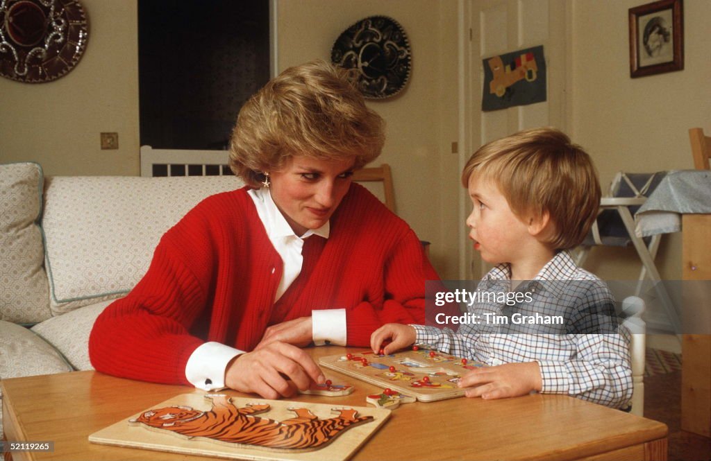 William Diana Puzzle