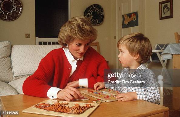William Diana Puzzle William Diana Puzzle