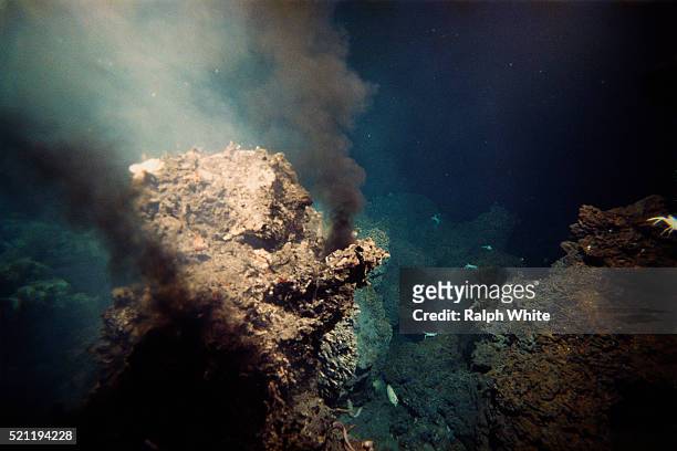 hydrothermal vent - ocean floor stock pictures, royalty-free photos & images