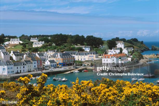 port at sauzon - golfe du morbihan stock pictures, royalty-free photos & images