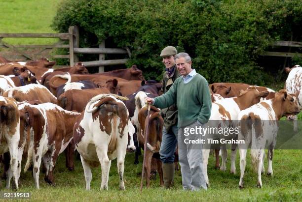 Prince William In Countryman Outfit Of Tweed Cap And Waxed Jacket Visiting Duchy Home Farm With Prince Charles And Inspecting The Ayrshire Cattle...