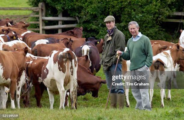 Prince William In Countryman Outfit Of Tweed Cap And Waxed Jacket Visiting Duchy Home Farm With Prince Charles And Inspecting The Ayrshire Cattle...