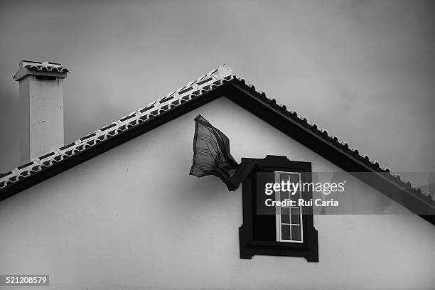 wind - rui caria - fotografias e filmes do acervo