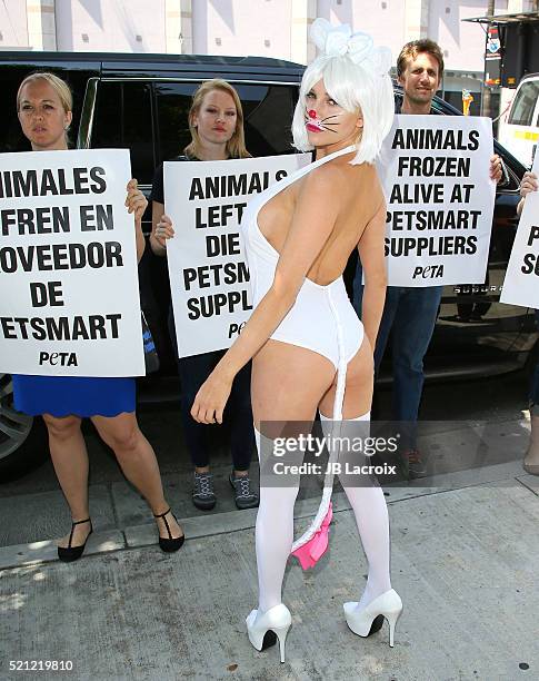 Model Courtney Stodden protests PetSmart for PETA at PetSmart on April 14, 2016 in Los Angeles, California.