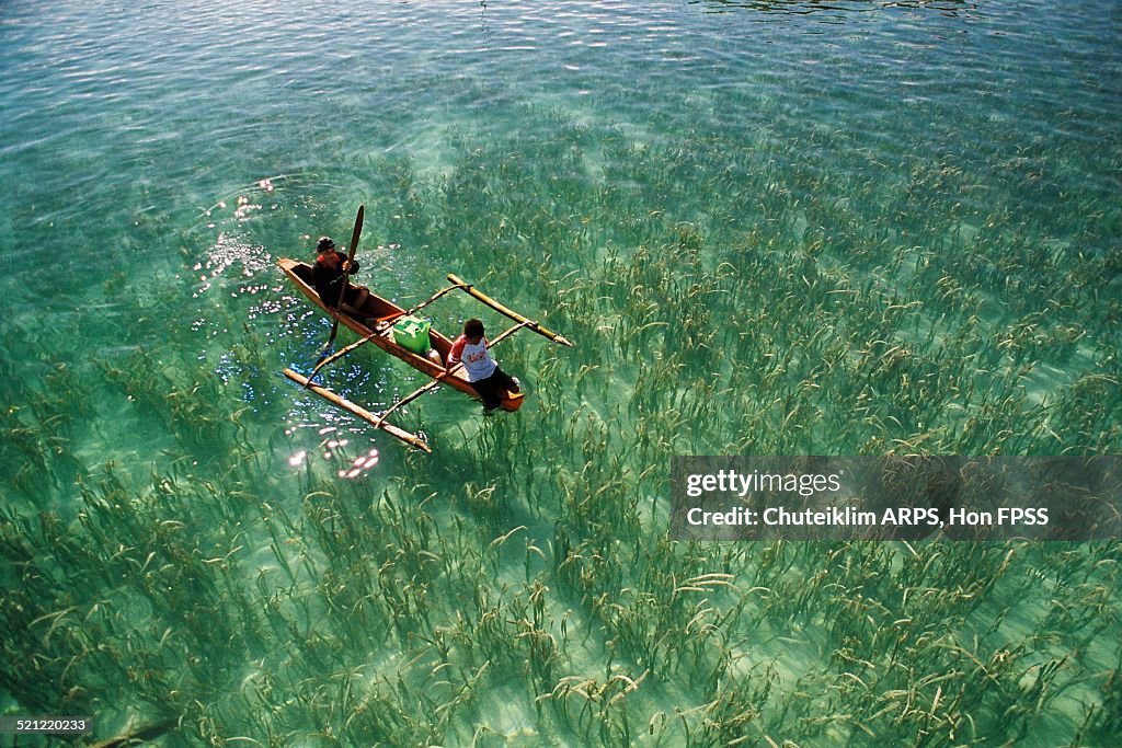 The Fisherman and The Son