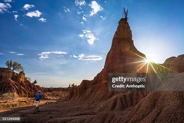 tatacoa desert - huila stock pictures, royalty-free photos & images