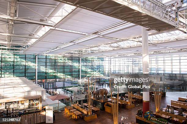 münchen-frantz josef strauss flughafen - munich airport stock-fotos und bilder