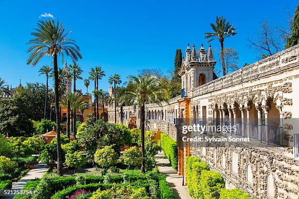 sevilla, barrio santa cruz, alcazar palace, grotesque gallery in - alcazar seville stock pictures, royalty-free photos & images