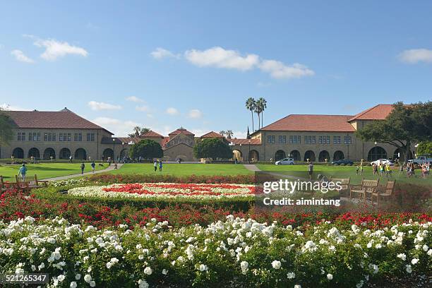 die ovale park in der stanford university - california v stanford stock-fotos und bilder