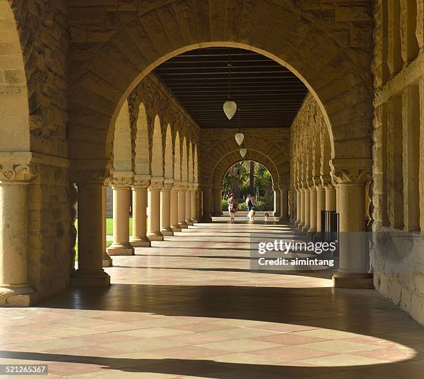 estimadas a perros en el pasillo de la universidad de stanford - stanford fotografías e imágenes de stock