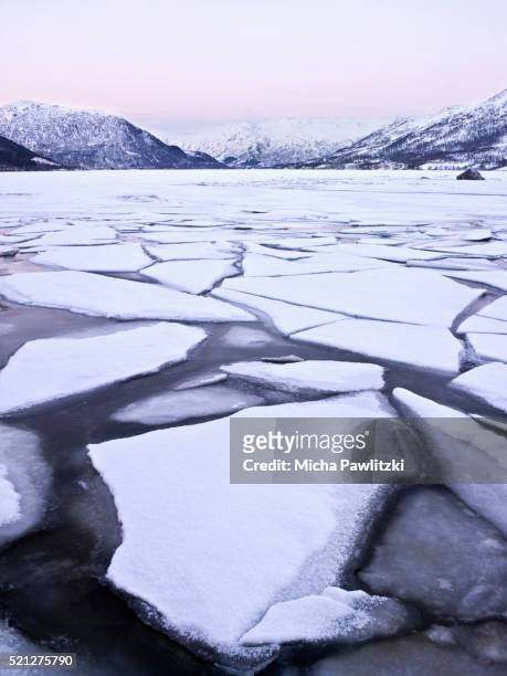dawn over floes at frozen lake, lofoten, norway - bloco de gelo flutuante - fotografias e filmes do acervo