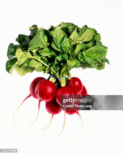 bunch of red radishes - radijs stockfoto's en -beelden