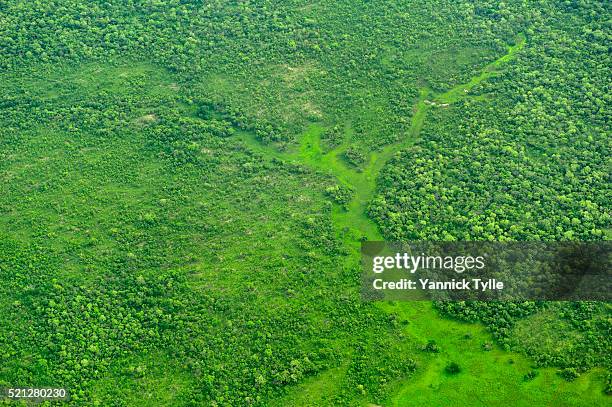 aerial photos of central african republic - democratic republic of the congo stock pictures, royalty-free photos & images