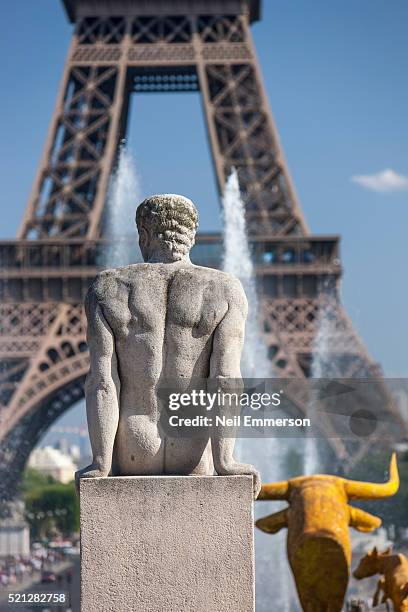 eiffel tower from trocadero in paris, france - statue paris stock pictures, royalty-free photos & images