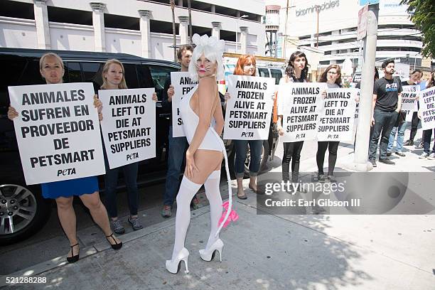 Personality Courtney Stodden protest PetSmart For PETA on April 14, 2016 in Los Angeles, California.