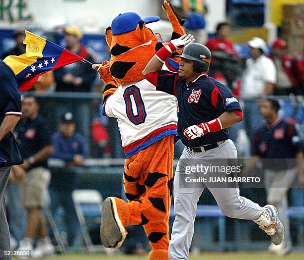 Rene Reyes de los Tigres de Aragua de Venezuela, saluda a una mascota tras batear un home run en un juego contra Indios de Mayaguey de Puerto Rico,...