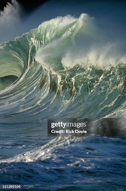 shorebreak waves in waimea bay - waimea bay stock pictures, royalty-free photos & images