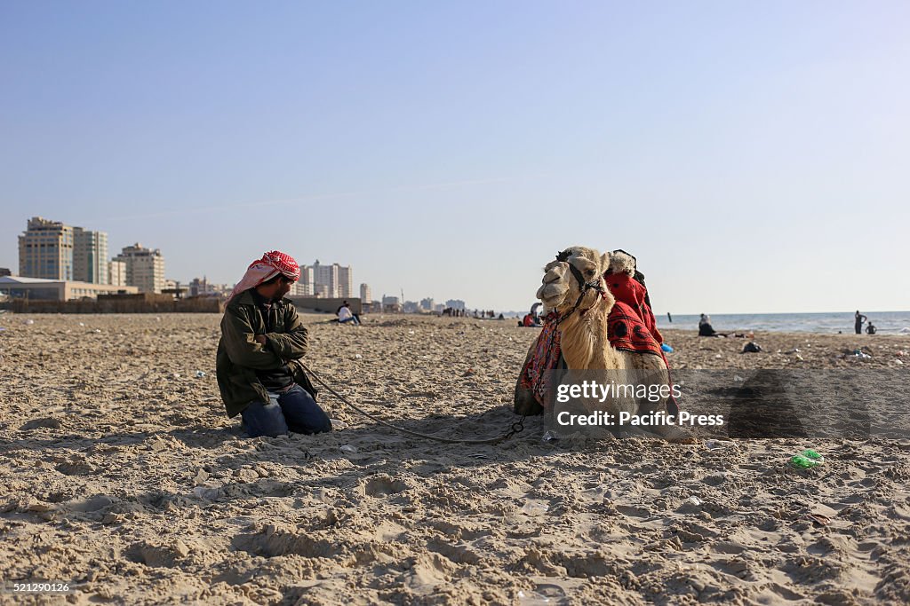 A Palestinian man sits with his camel near Gaza seaport in...