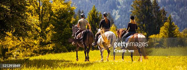 friends horseback riding in the countryside - recreational horseback riding stock pictures, royalty-free photos & images