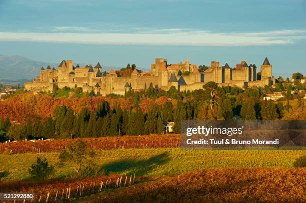 france, medieval city of carcassonne - carcassonne imagens e fotografias de stock