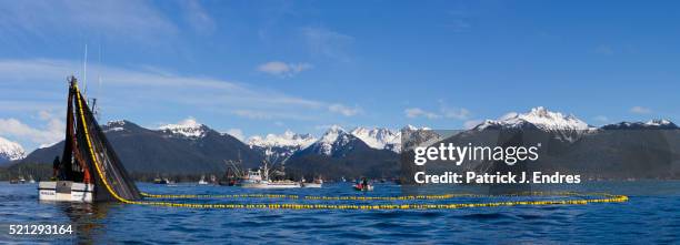 panorama of commercial fishing vessel - pacific herring stock pictures, royalty-free photos & images