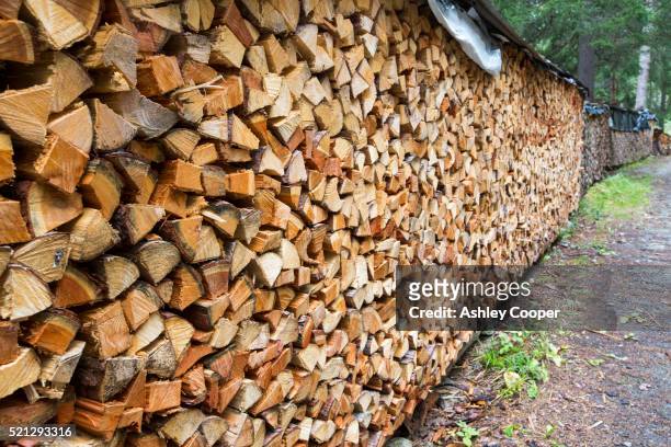 wood cut for space heating houses, drying in val ferret in the swiss alps. - legna da ardere foto e immagini stock