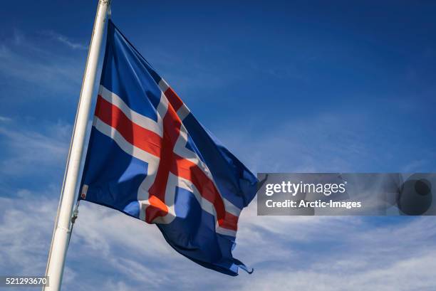 icelandic flag - icelandic flag stock pictures, royalty-free photos & images