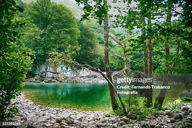 dobra river - asturias stock pictures, royalty-free photos & images
