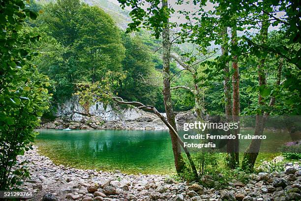 dobra river - principado de asturias 個照片及圖片檔