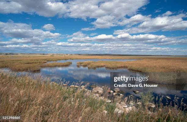 luck lake wildlife marsh - saskatchewan stock-fotos und bilder