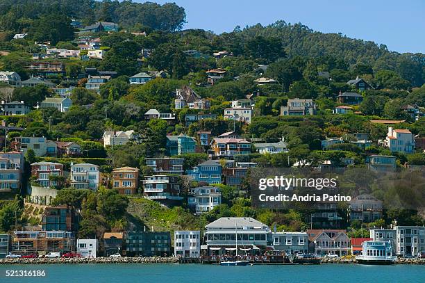 houses on hill - sausalito stock pictures, royalty-free photos & images