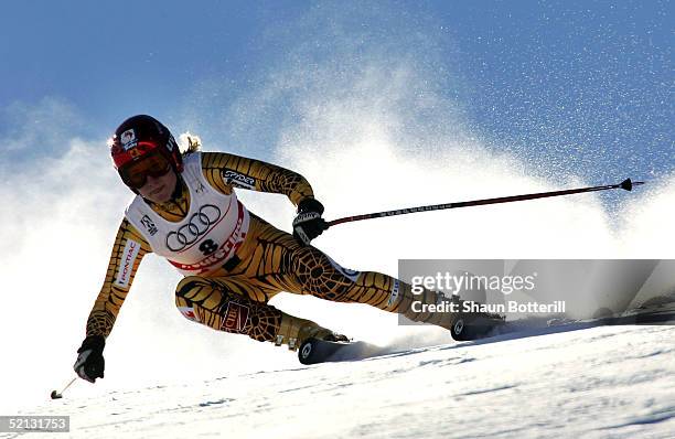 Brigitte Acton of Canada in action during the Womens Combined Downhill at the FIS Alpine World Ski Championships 2005 on February 4, 2005 in Bormio,...