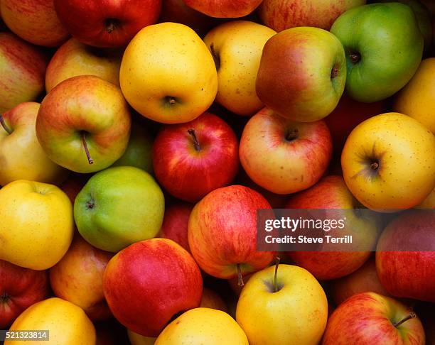 apples at farmer's market - apple stockfoto's en -beelden