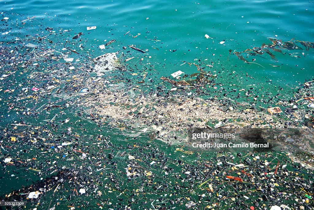 Trashy ocean water