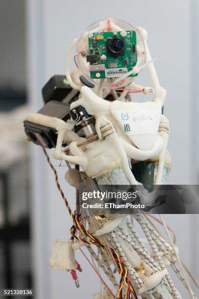 ecce humanoid robot - roboy stock pictures, royalty-free photos & images