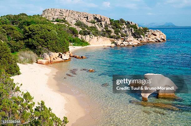 elephant rock beach on sardinia in sardinia, italy - costa foto e immagini stock