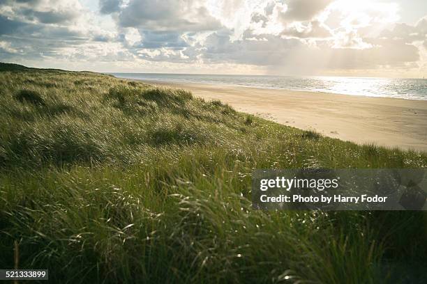 north sea beach - vlieland stock pictures, royalty-free photos & images