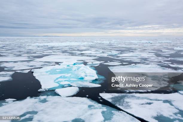 rotten sea ice at over 80 degrees north off the north coast of svalbard - artic stockfoto's en -beelden