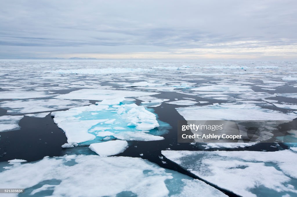 Rotten sea ice at over 80 degrees North off the north coast of Svalbard