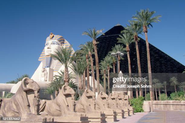 pyramid and sphynx at the luxor hotel - las vegas pyramid hotel stock pictures, royalty-free photos & images