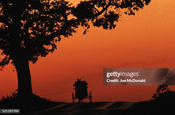 amish buggy at sunset - amish stock-fotos und bilder